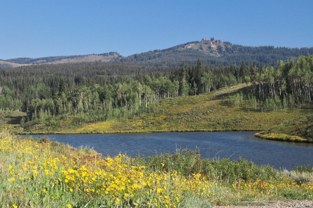 Muddy Pass Lake